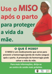 10. Poster_PSI_Mozambique_thumb