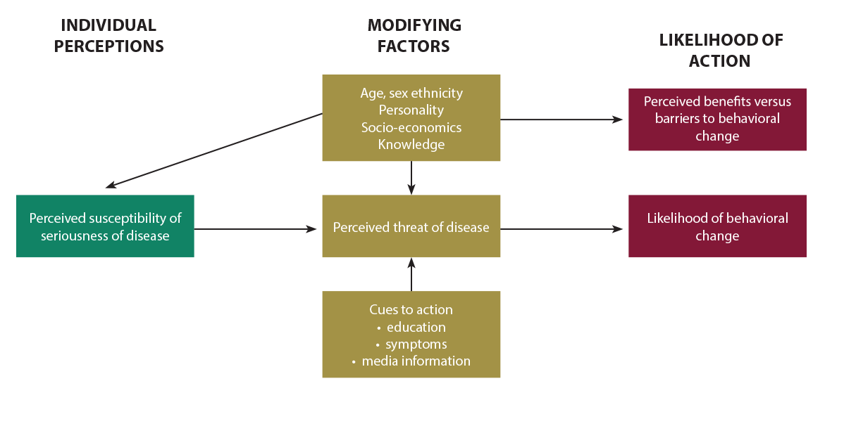 Health Belief Model Promoting Quality Malaria Medicines through SBCC