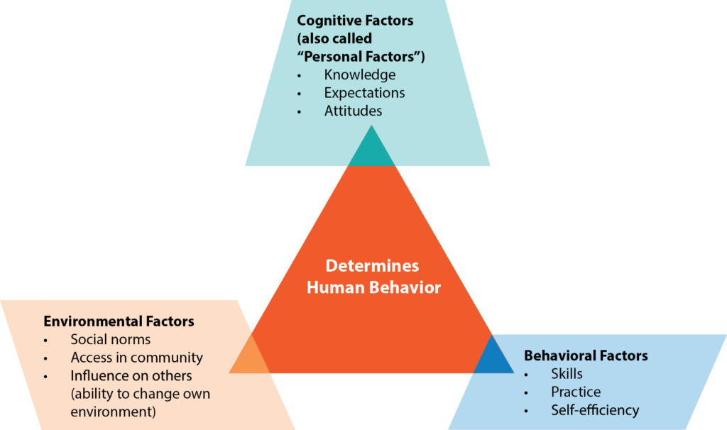 Behavioral Cognitive And Social Learning Theories