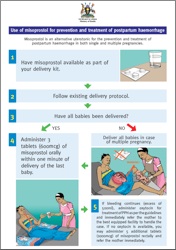 Misoprostol Project Examples | Demand Generation I-Kit for ...