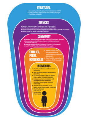 Components – Integrated SBCC Programs