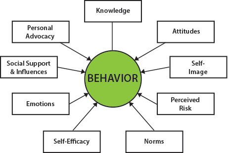 behavior2
